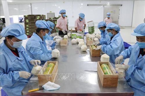 Thương vụ Việt Nam tại Đức lưu ý doanh nghiệp để tránh rủi ro ở thị trường EU