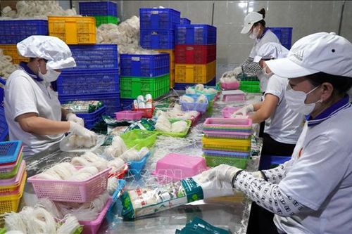 Giá gạo tăng nhanh, doanh nghiệp chế biến sản phẩm từ gạo gặp khó