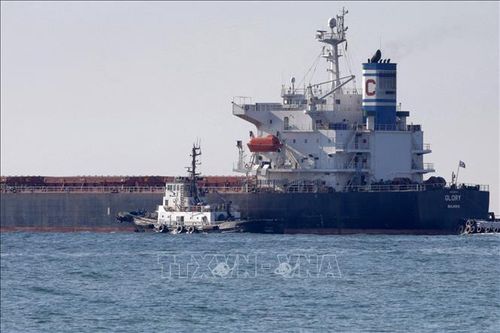 Romania đặt mục tiêu tăng lượng ngũ cốc Ukraine vận chuyển qua cảng Constanta