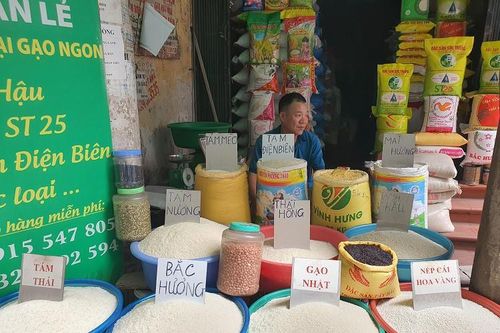 Giá gạo tăng cao nhất trong 15 năm, đại lý không dám nhập thêm hàng để bán