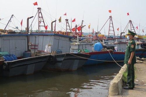 Nghệ An: Kiểm tra các công trình thủy lợi trọng điểm trước mùa mưa lũ
