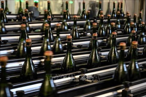 Sản lượng rượu vang của Pháp sẽ gần mức trung bình 5 năm qua
