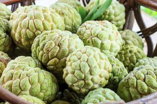 Mẹo chọn na ngon ngọt, dày cùi và ít hạt