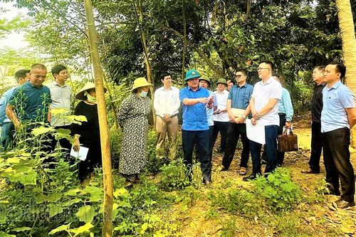 Dân vận khéo - 'Chìa khóa' gỡ vướng giải phóng mặt bằng