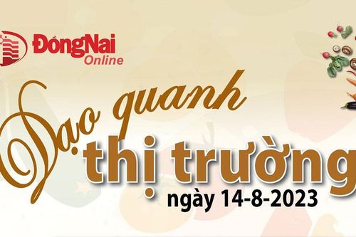 Dạo quanh thị trường ngày 14-8-2023