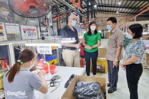 Triển khai các quy định liên quan bảo hiểm tai nạn lao động, bệnh nghề nghiệp