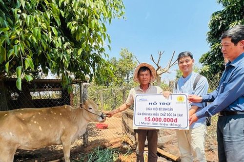 Chung tay xoa dịu nỗi đau da cam