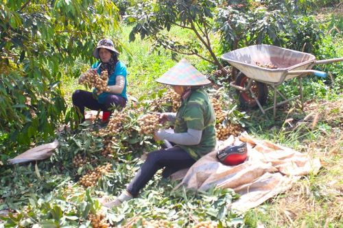 Chư Pưh đầu tư giữ chuẩn xã nông thôn mới