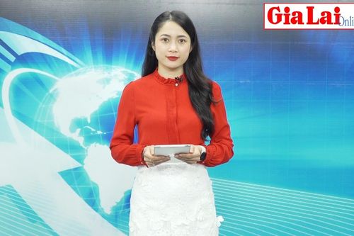 Gia Lai 24h: Lê Thị Nhi giành huy chương vàng Giải Vô địch Cúp Kickboxing toàn quốc