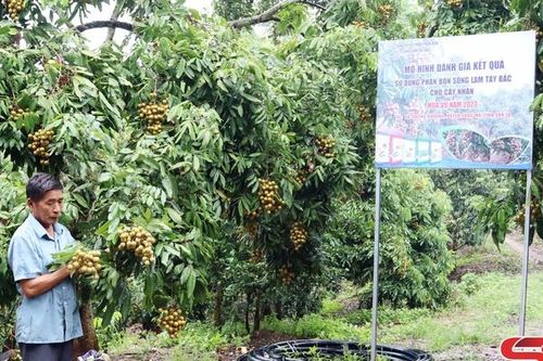 Đồng hành cùng nông dân thêm những mùa vàng