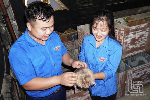 Cùng thanh niên vùng cao khởi nghiệp