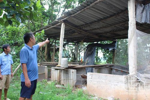 Dự án đường Thắng Lợi kéo dài chậm tiến độ: Người dân gặp khó