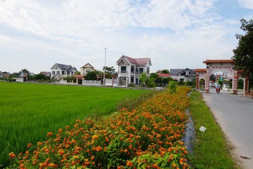 Thực hiện hiệu quả 3 Chương trình mục tiêu quốc gia