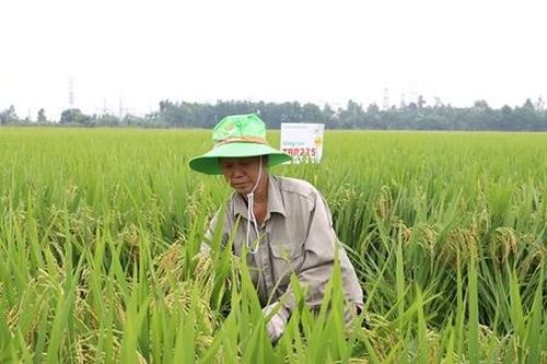 Nông thôn mới hướng đến nâng cao thu nhập cho người dân