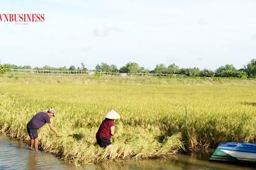 Chờ 'cú nước rút' trong xây dựng nông thôn mới ở Trà Cú