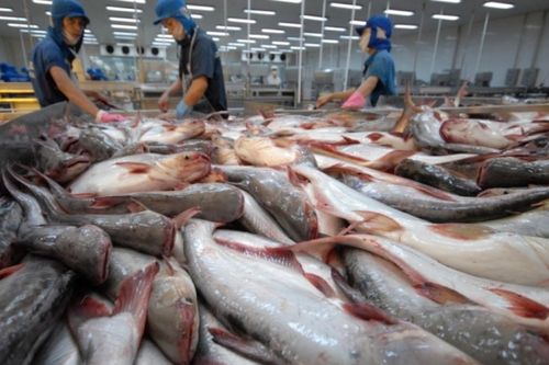 Tiêu thụ nội địa tháng 7 của Vĩnh Hoàn phục hồi