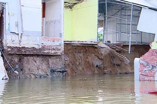 Cấp bách khắc phục sạt lở tại đồng bằng sông Cửu Long