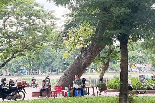 Nhiều vườn hoa bị xâm chiếm, xuống cấp: Vẫn đang chờ 'giải cứu'