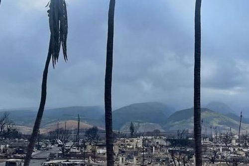 Tình trạng trộm cắp xuất hiện sau thảm họa cháy rừng Hawaii