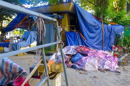 Cận cảnh những vườn hoa bị lãng quên, xuống cấp ở Hà Nội