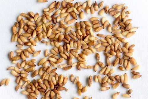 Điều trị mất ngủ, cần phải xác định rõ gốc bệnh