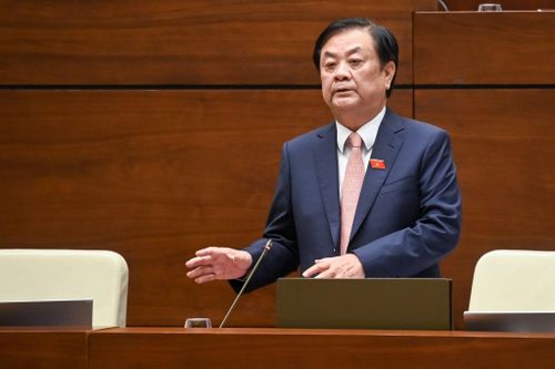 Bộ trưởng NN&PTNT: Không nên dùng từ giải cứu nông sản nữa, nên 'tư duy lại việc này'