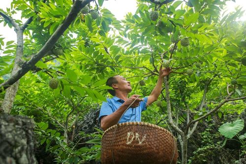 Tổ chức Ngày hội văn hóa thể thao các dân tộc huyện Chi Lăng