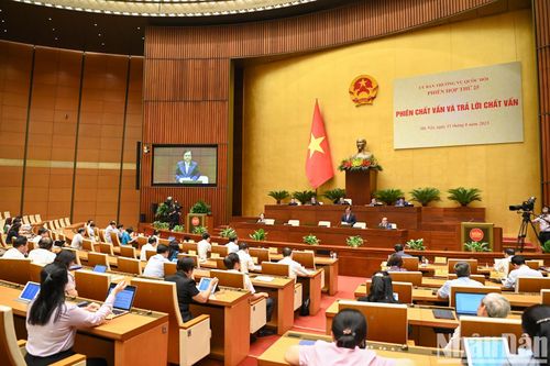Phiên chất vấn và trả lời chất vấn nhóm vấn đề thuộc Bộ Nông nghiệp và Phát triển nông thôn