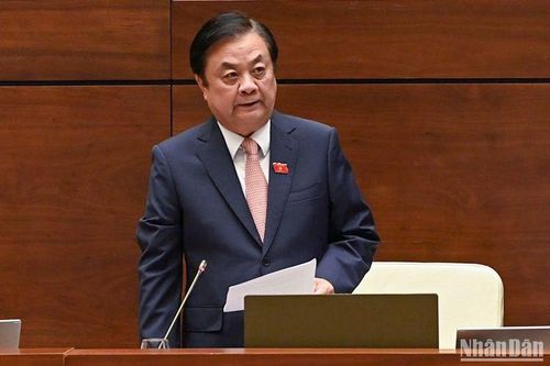 Các địa phương cần cân nhắc khi chuyển đổi đất trồng lúa