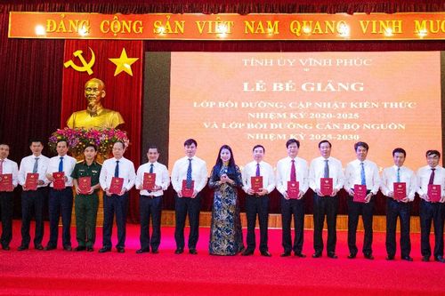 Thảo luận về định hướng chiến lược phát triển kinh tế-xã hội và công tác xây dựng Đảng tỉnh Vĩnh Phúc