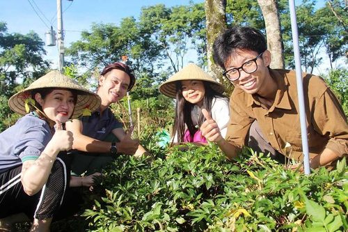 Làm giàu dưới tán rừng - Bài 2: Biến tiềm năng thành hiện thực
