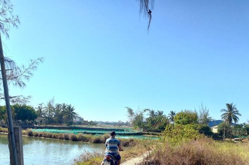 Quảng Ngãi: Xã đạt chuẩn nông thôn mới, nhưng dân lại 'khát' đường đi