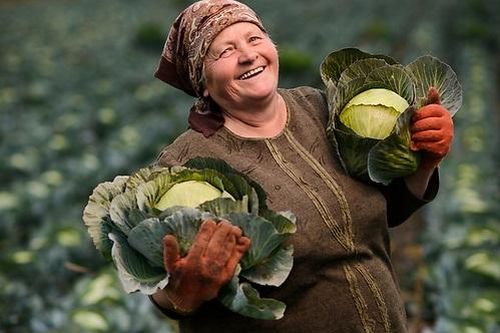 Mỹ nhập khẩu gì từ Kiev?