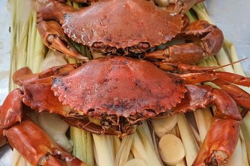 Bé trai 9 tuổi nguy kịch vì bị sốc phản vệ nặng nghi do dị ứng khi ăn hải sản