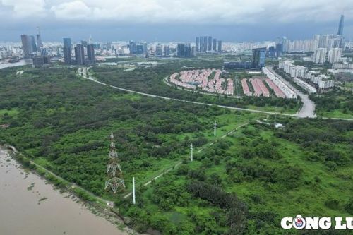 TPHCM: Khu sinh thái rừng ngập mặn rộng 128ha ở Thủ Thiêm