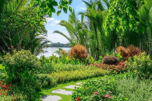 Giải bài toán thiếu thiên nhiên trong không gian sống của người dân Sài thành
