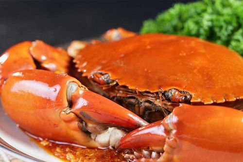 Ăn hải sản, bé trai 9 tuổi nguy kịch vì bị sốc phản vệ