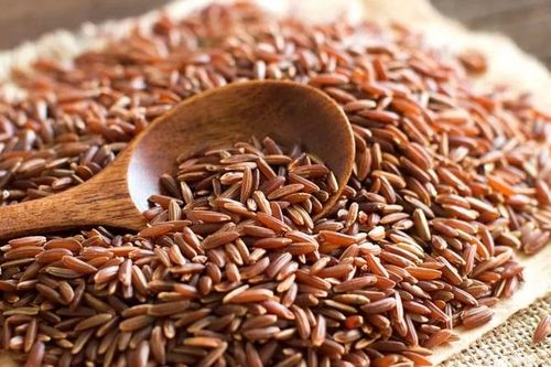 Nhiều nông dân Ấn Độ 'chia tay' lúa lai để trở về với giống truyền thống
