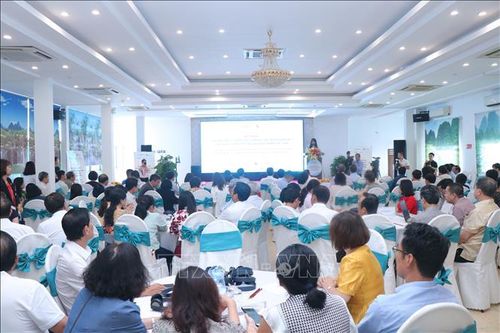 Tạo việc làm và cải thiện sinh kế cho người khuyết tật