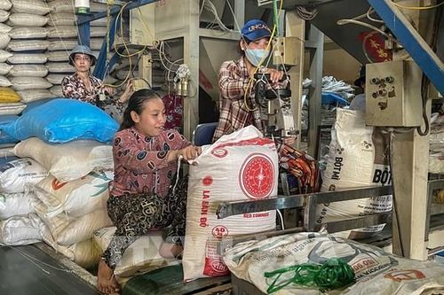 Bộ Công Thương chỉ đạo nóng về xuất khẩu gạo và bình ổn thị trường