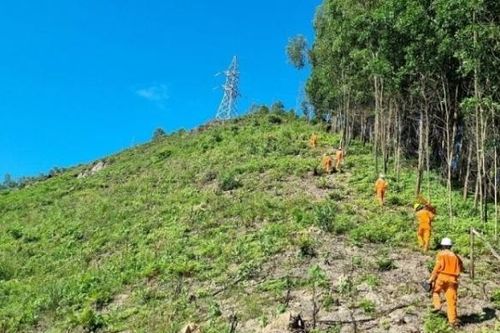 Ngành điện miền Bắc: Khởi công 23 dự án và đóng điện 22 dự án lưới điện 110kV