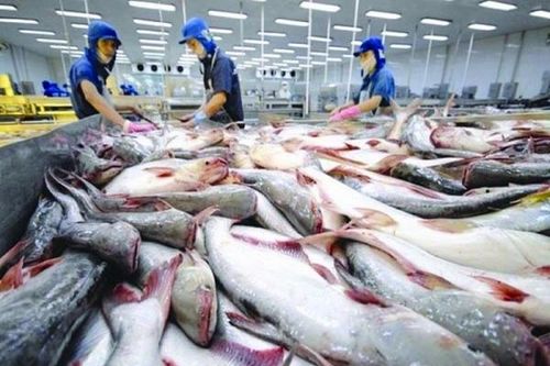 Thiếu đơn hàng xuất khẩu, doanh nghiệp tìm đường quay về 'sân nhà'