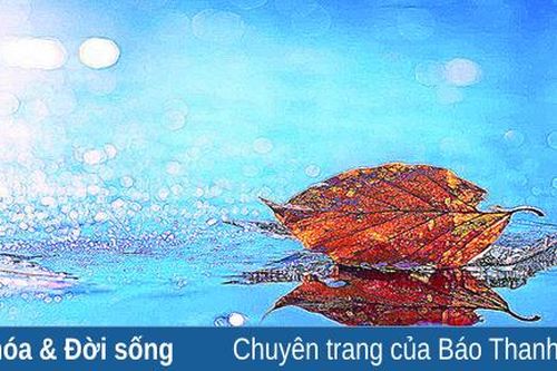 Sắc màu của lặng im
