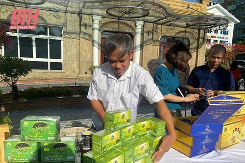 Khuyến khích HTX tham gia các chương trình kết nối, quảng bá sản phẩm