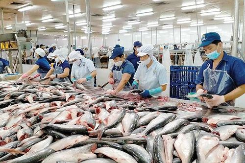 Doanh nghiệp xuất khẩu gặp khó: Quay về sân nhà cũng không dễ