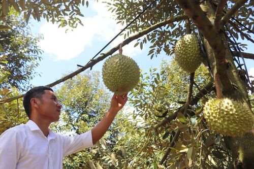 Sáng niềm tin vào Đảng Kỳ 1: Nghị quyết 'đưa dân xuống núi'