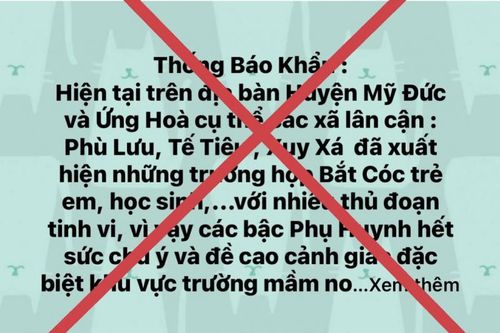 Xử lý nghiêm đối tượng thông tin thất thiệt bắt cóc trẻ em ở Hà Nội