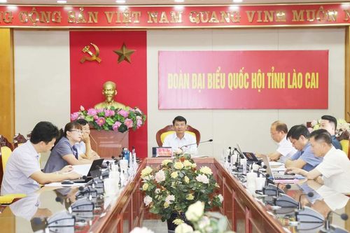 Đoàn đại biểu Quốc hội tỉnh Lào Cai tham gia phiên chất vấn và trả lời chất vấn