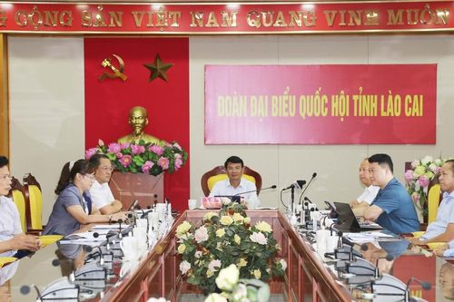 Đoàn đại biểu Quốc hội tỉnh Lào Cai tham gia chất vấn Bộ trưởng Bộ Nông nghiệp và Phát triển nông thôn