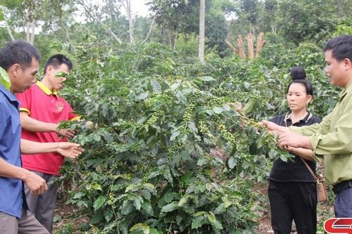 Thực hiện khâu đột phá trong phát triển kinh tế